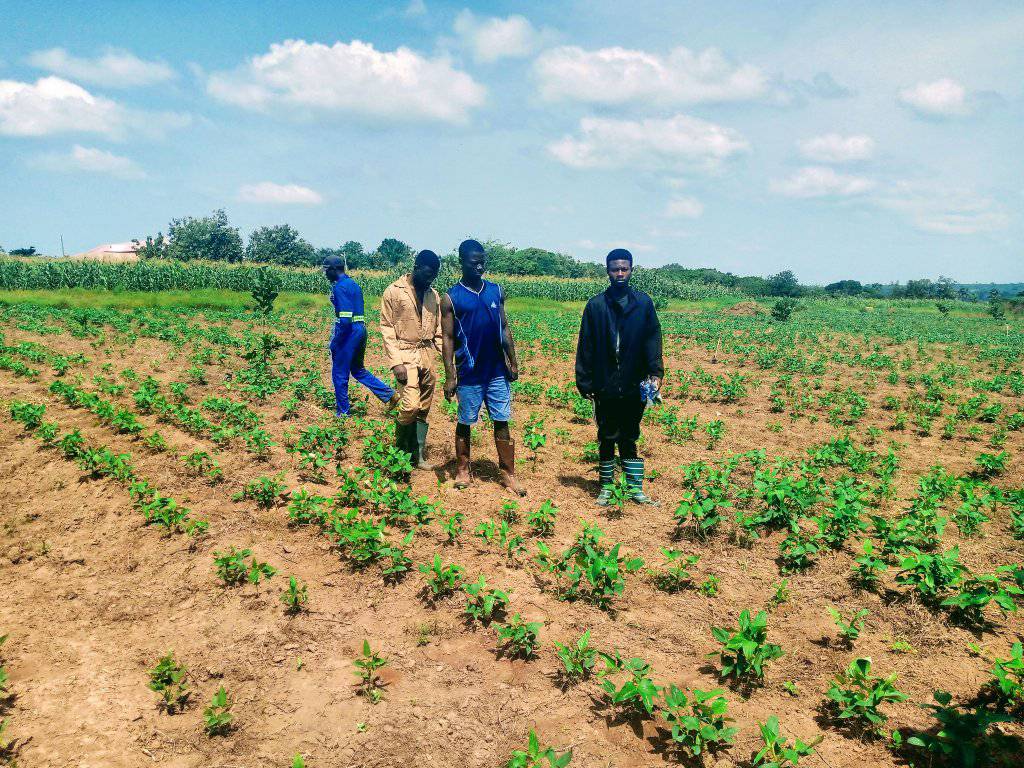 HND in General Agriculture