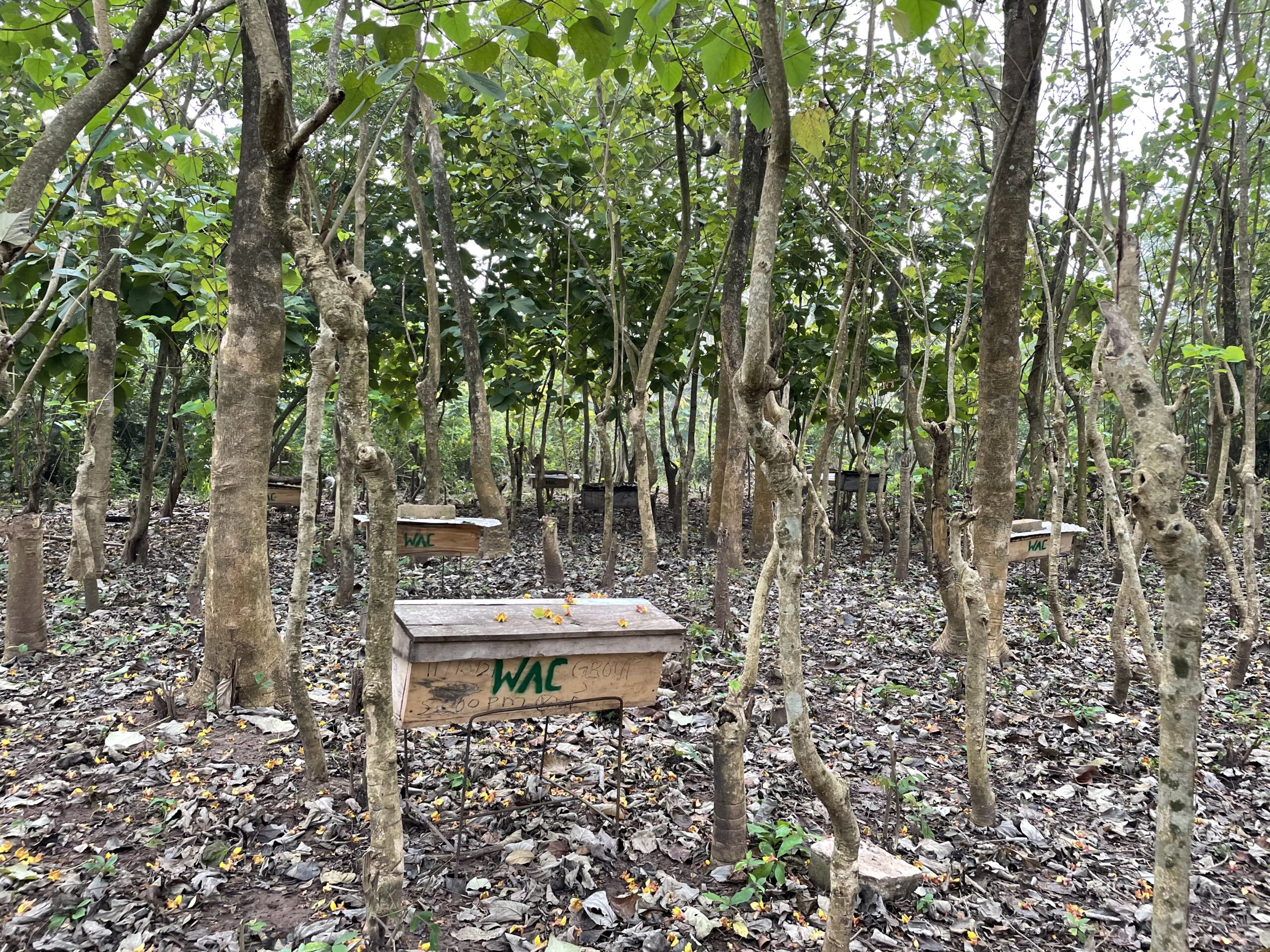 Fruit & Tree Crop Production
